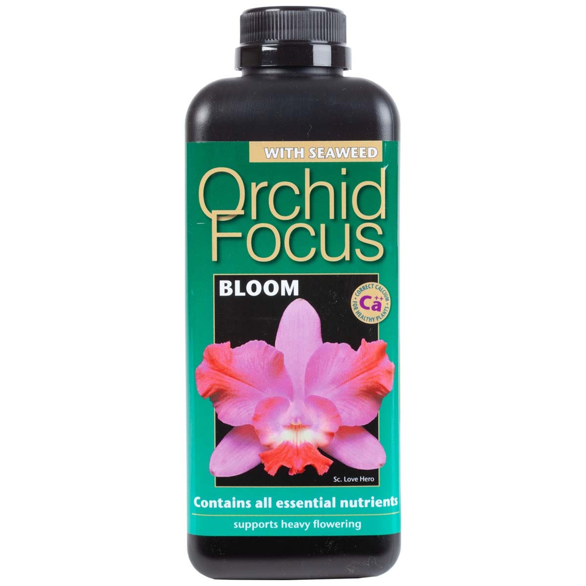Growth Technology - Orchid Focus - Bloom 300ml