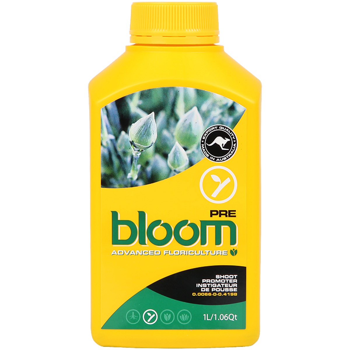 Bloom - PRE - Super Concentrate
