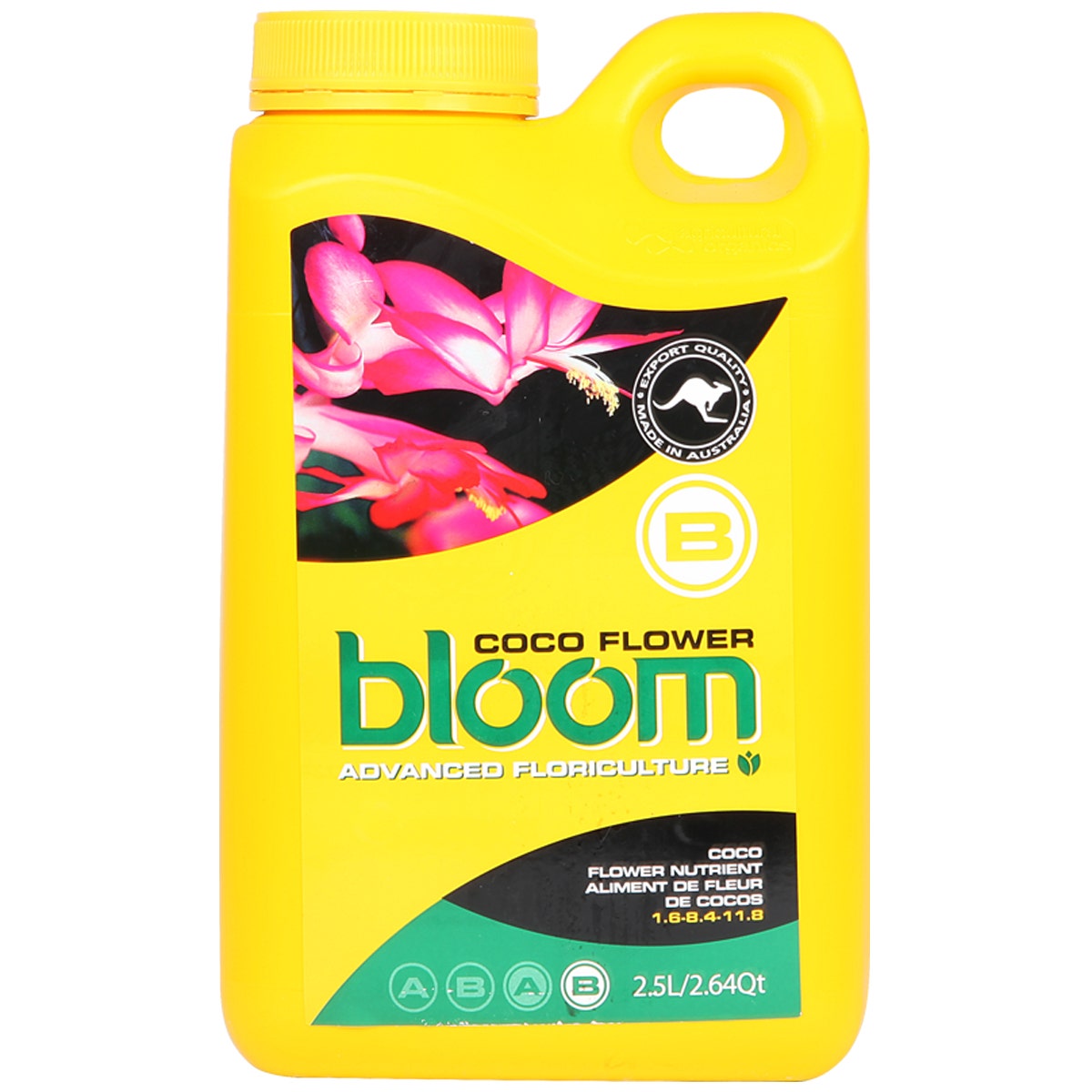 Bloom - COCO FLOWER B - Super Concentrate
