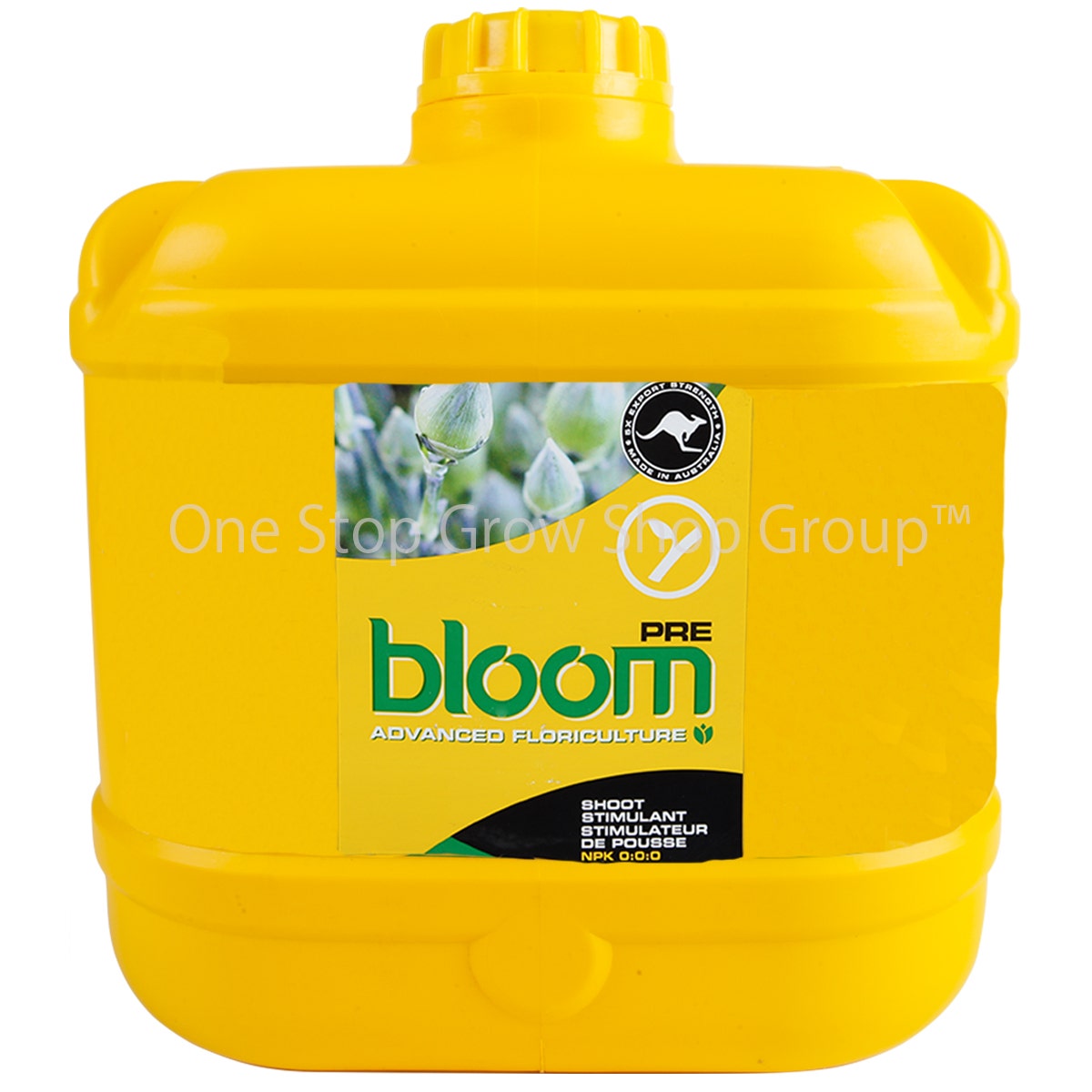 Bloom - PRE - Super Concentrate