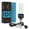 Lamp and Hanger CFL Kit