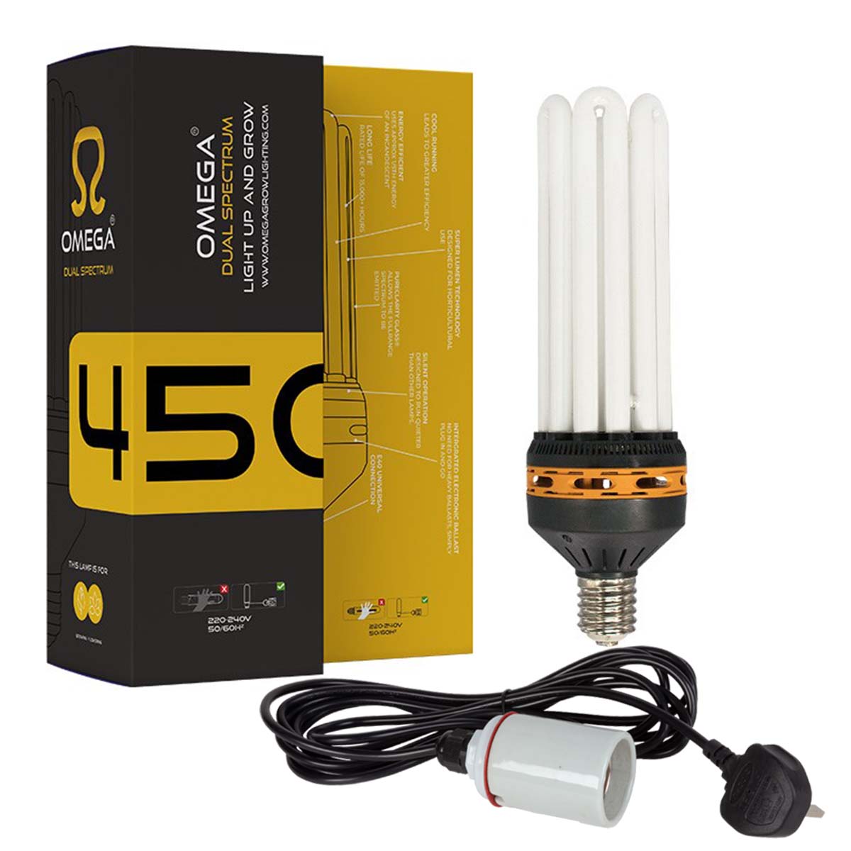 Lamp and Hanger CFL Kit