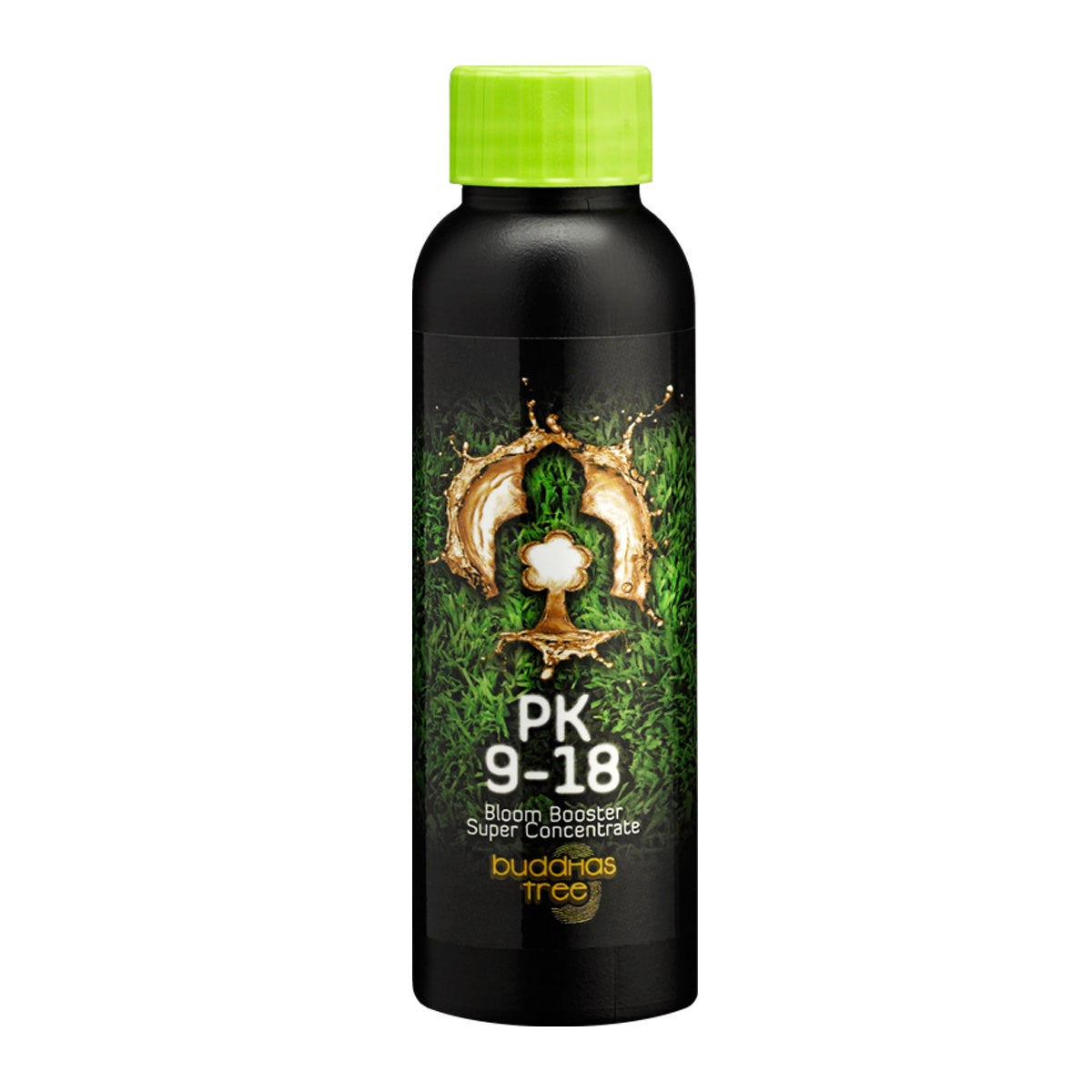 Buddhas Tree - PK 9-18