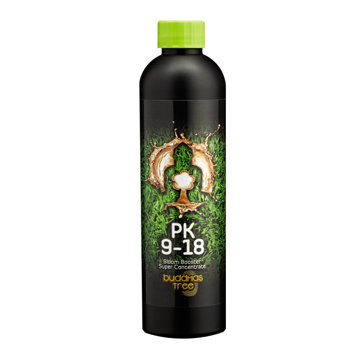 Buddhas Tree - PK 9-18