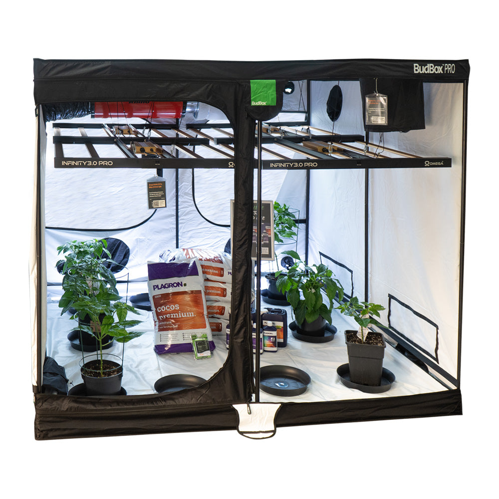 Hydroponic Grow Room Kits Hydroponics Full Grow Kits Online, Australia