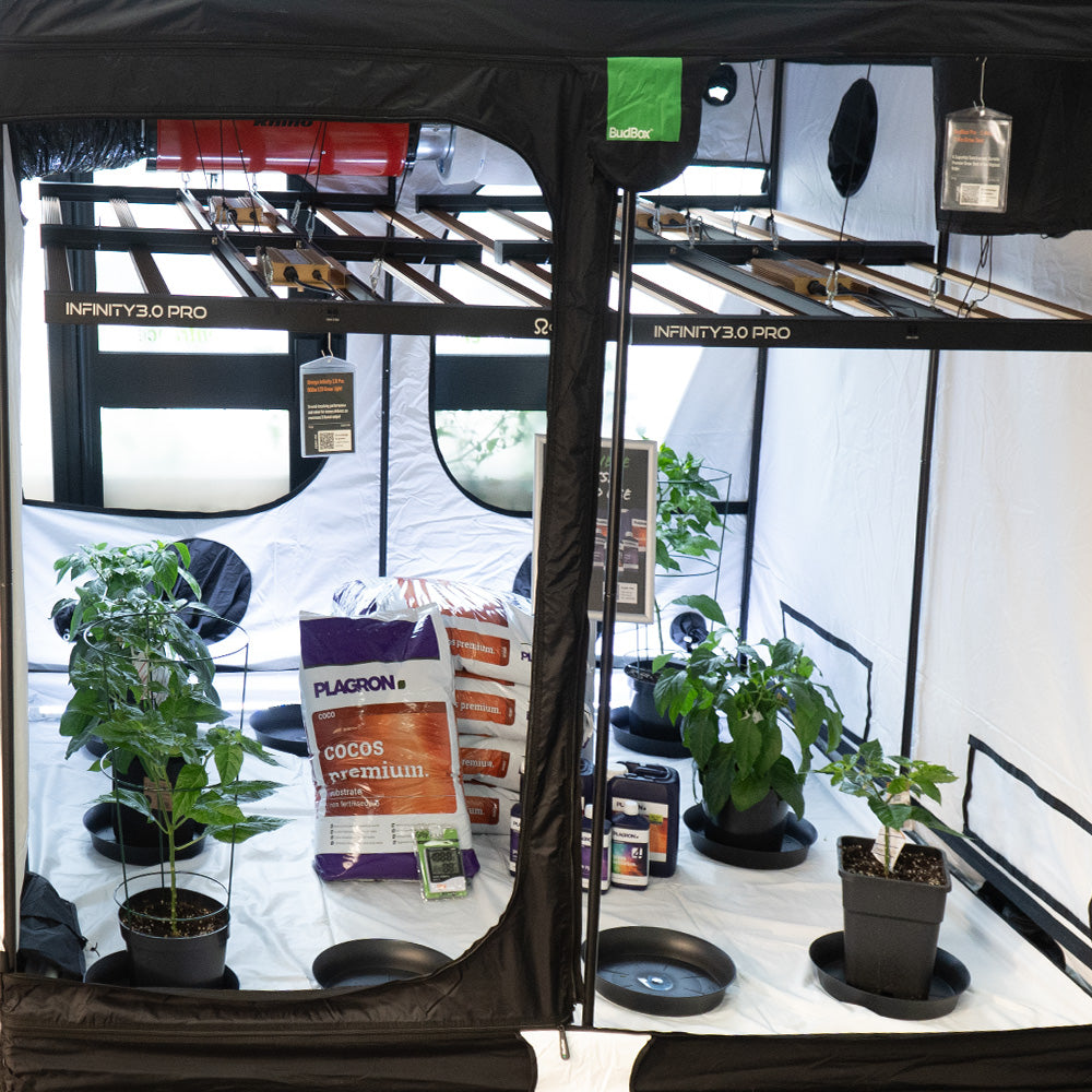 full grow tent setup 2.4m x 2.4m Professional Full Grow Tent Kit