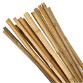Bamboo Stakes