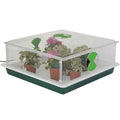 Vitopod Propagators