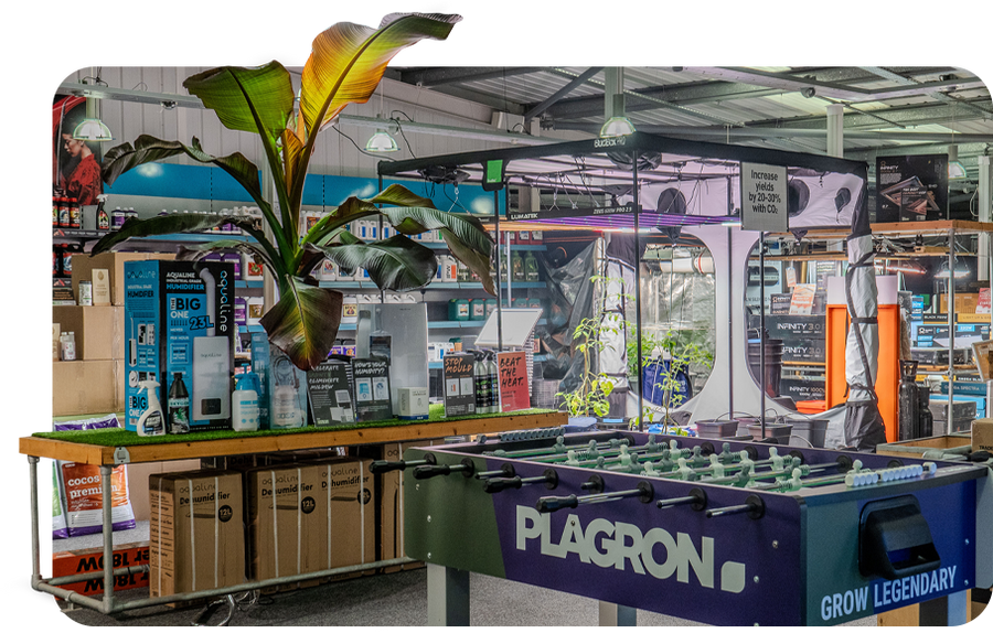 Hydroponics Shop UK: Hydroponics Grow Lights, Tents & Kits | One Stop